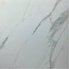 Picture of Carrara White Matt  6603