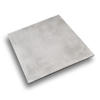 Picture of Cement Dust Light Grey 600x600 SF-DIP1U60887