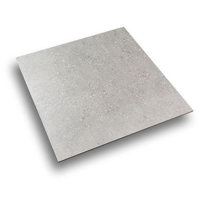 Picture of Terrazzo Grey 600x600 DSM6006CE