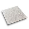 Picture of Venus Light Grey 600x600 GF-L66014