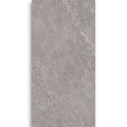 Picture of Venus Grey 600x1200 126RJ006M1