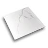 Picture of Carrara White Polished 600x600 FTDXH6600P