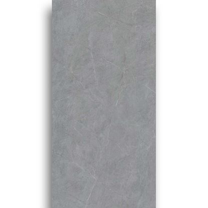 Picture of Stone Gery Matt 750x1500 SF-L157510-217