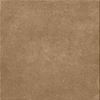 Picture of Terracreta Chamotte 20脳20