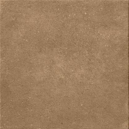 Picture of Terracreta Chamotte 20脳20