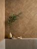 Picture of Terracreta Chamotte 20脳20