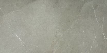 Picture of Angers Taupe Natural 60脳120