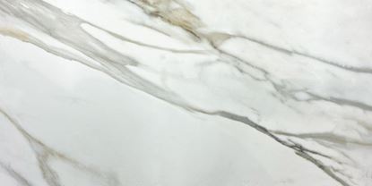 Picture of Calacatta Gold Satin 60脳120