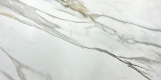 Picture of Calacatta Gold Satin 60脳120