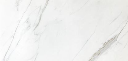 Picture of Calacatta Oro Matt 60X120
