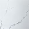 Picture of Calacatta Silver Polished 60脳60