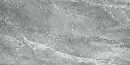 Picture of Moonstone Grey Natural 60脳120