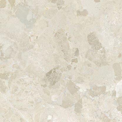 Picture of Petraviva Ivory Natural 60X60