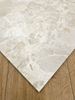 Picture of Petraviva Ivory Natural 60X120