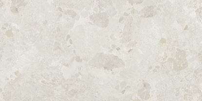 Picture of Petraviva White Natural 60X120