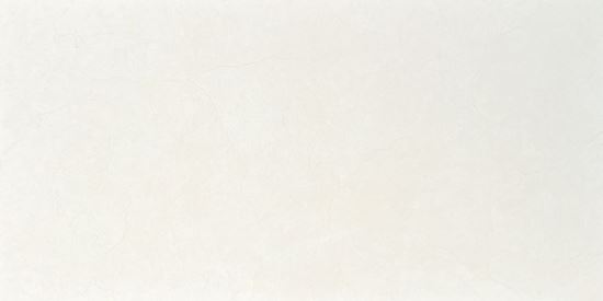 Picture of Prestige White Natural 60X120