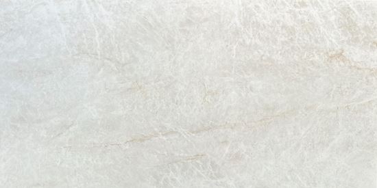 Picture of Taj Mahal Shell 60X120