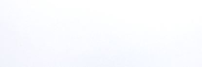 Picture of White Gloss 10X30