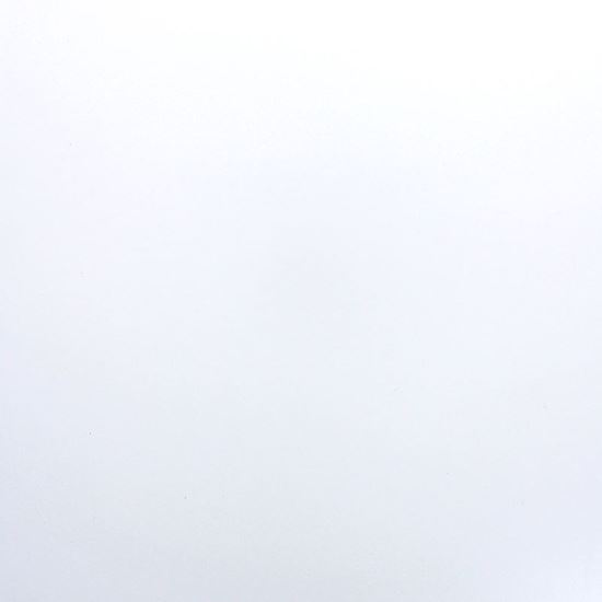Picture of White Gloss 20X20