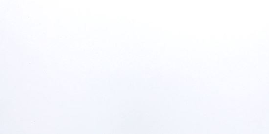 Picture of White Gloss 30X60