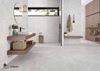 Picture of Avalon Rock Gris 60X120