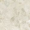 Picture of Petraviva Ivory Natural 60X60