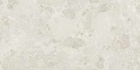 Picture of Petraviva White Natural 60X120